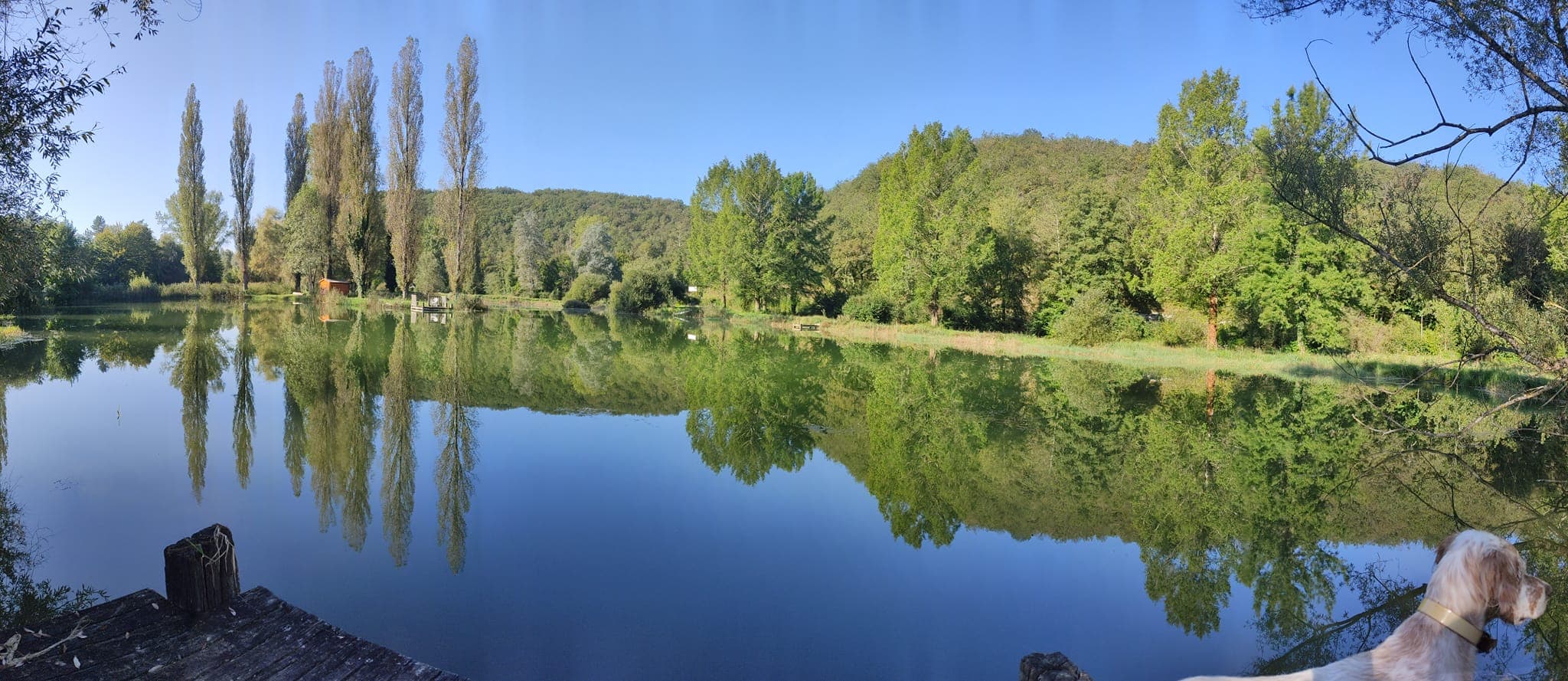 A scenery from Camping de la Grande Prade