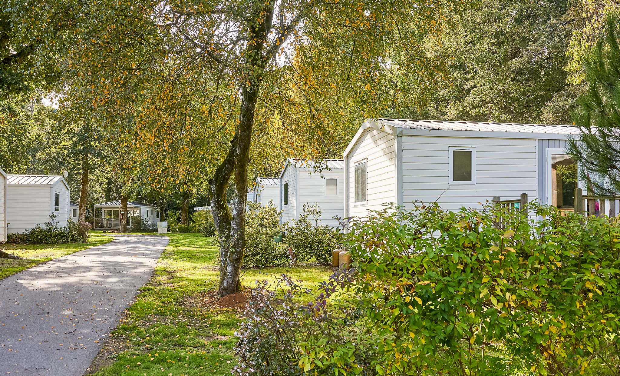 A scenery from Camping Les Jardins du Morbihan