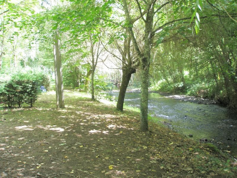 A scenery from Camping L'Agrion Bleu