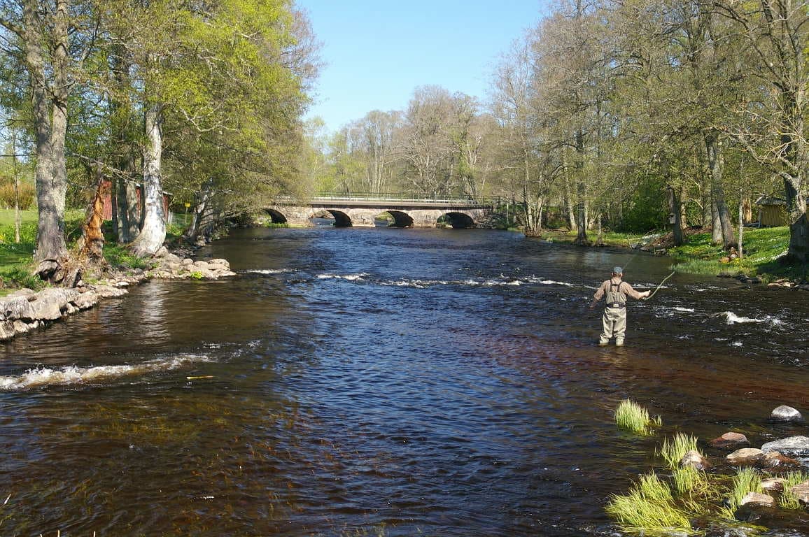 A scenery from Camping L'Agrion Bleu