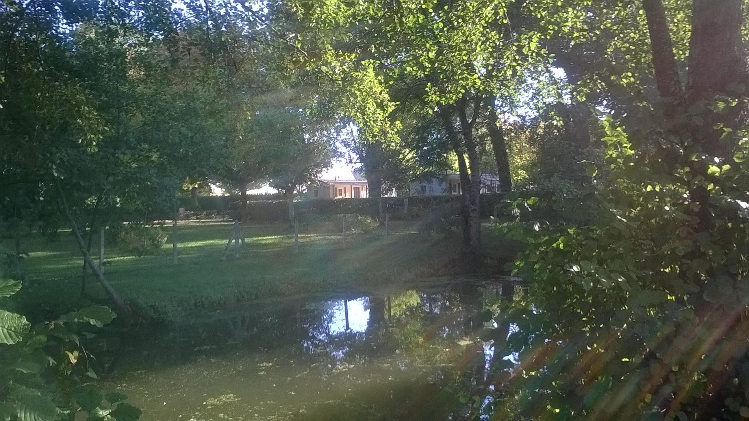 A scenery from Camping Le Plein Air Neuvicois