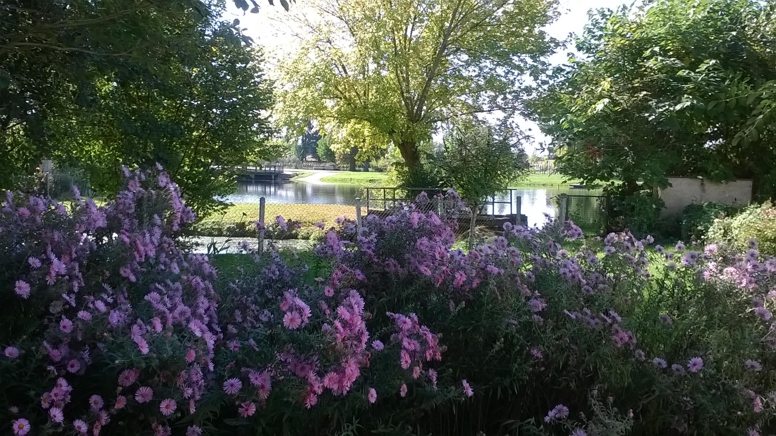A scenery from Camping Le Plein Air Neuvicois
