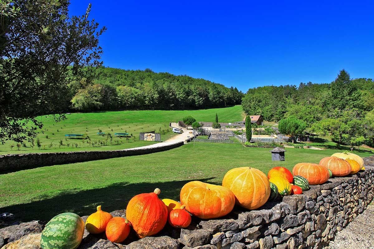 A scenery from Domaine Périgord Vacances
