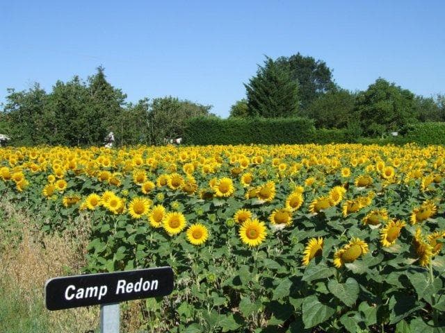 A scenery from Camp Redon