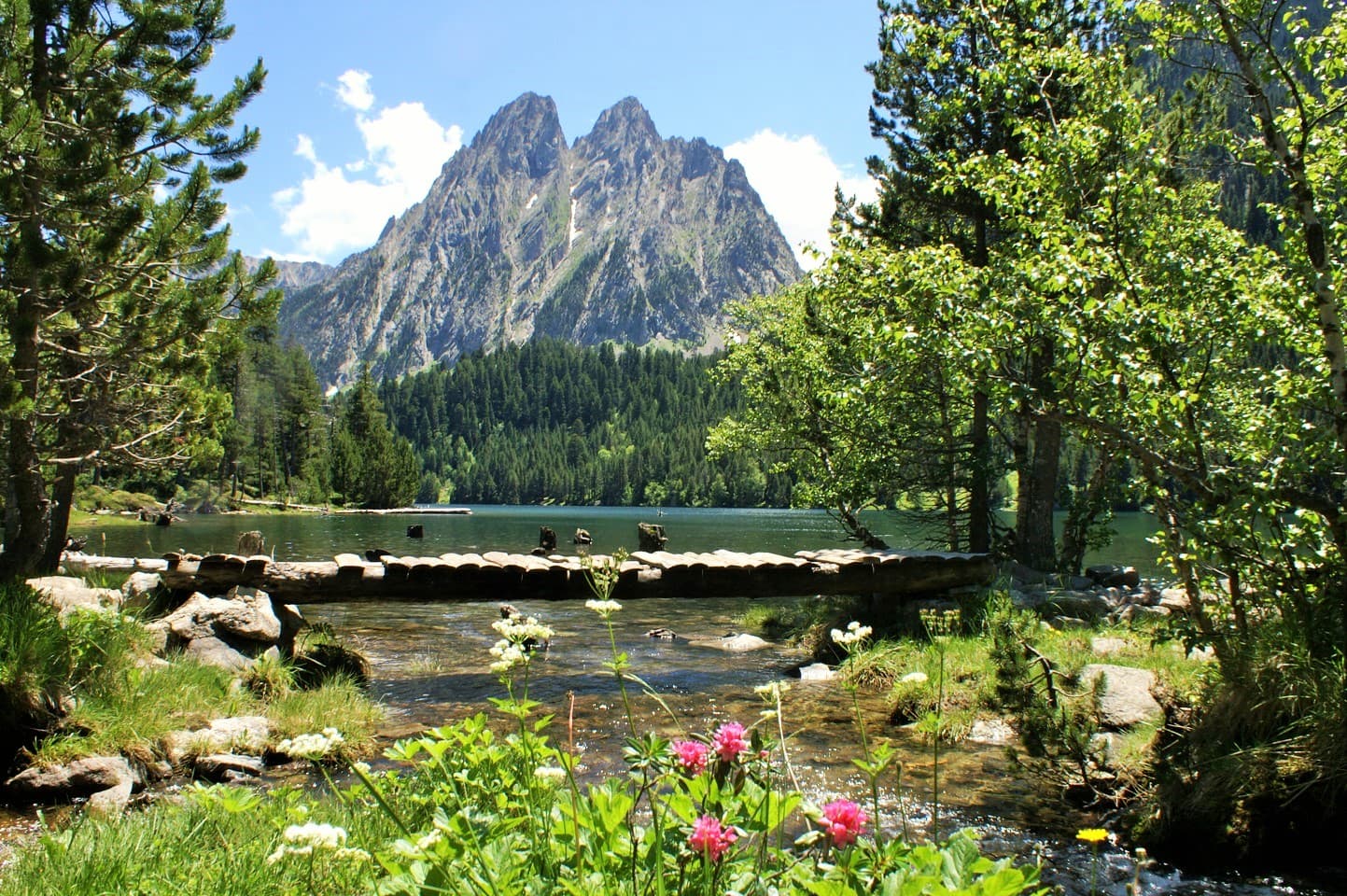 CAMPING VORAPARC