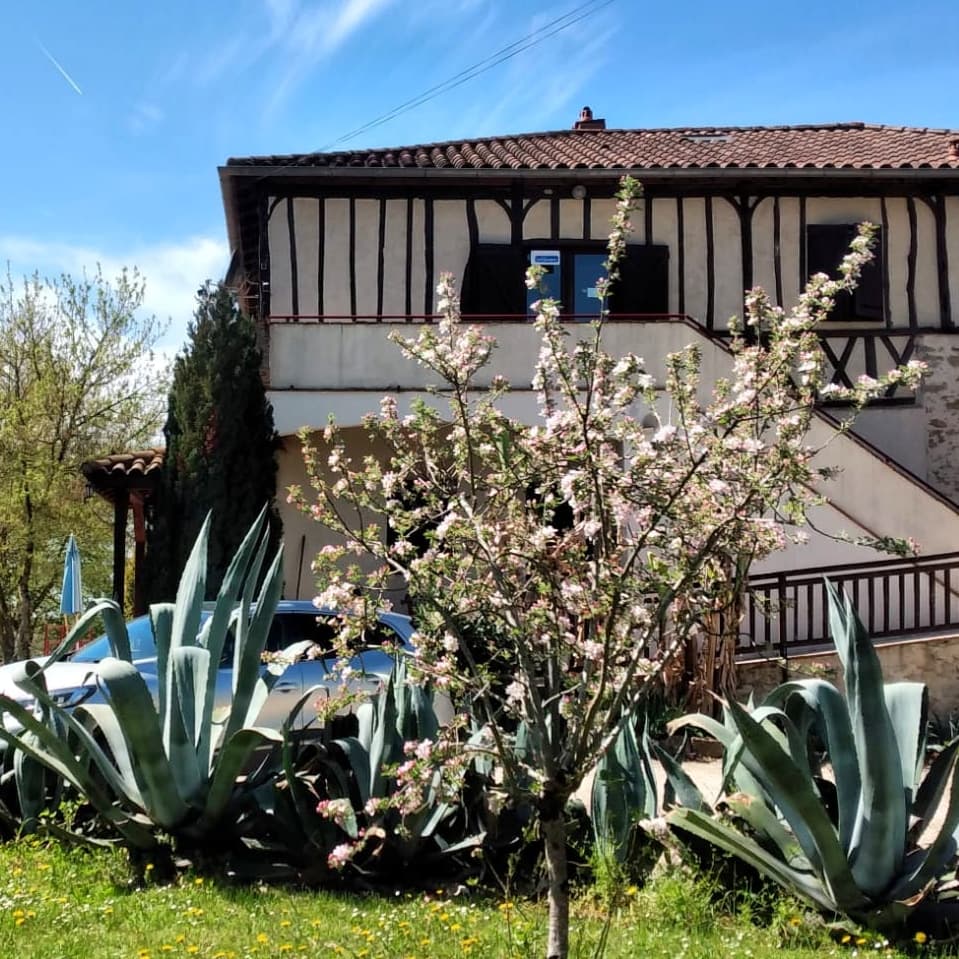 A scenery from Le Domaine du CASTEX - Camping & Hébergement