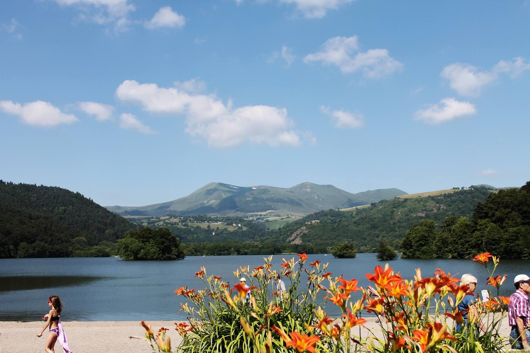 A scenery from Camping Les Fougères - Le Domaine du Marais