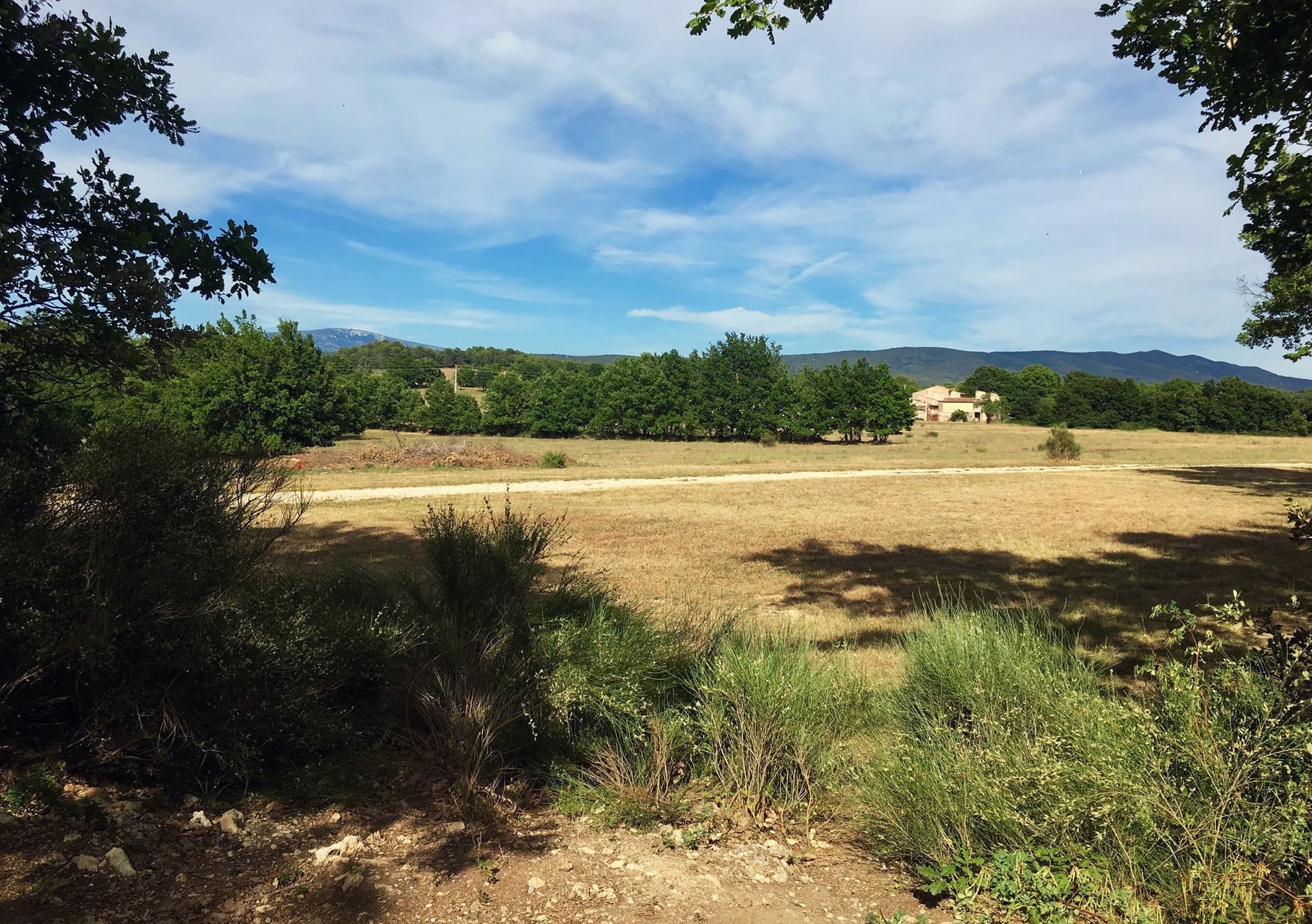 A scenery from Camping L'Avelanède