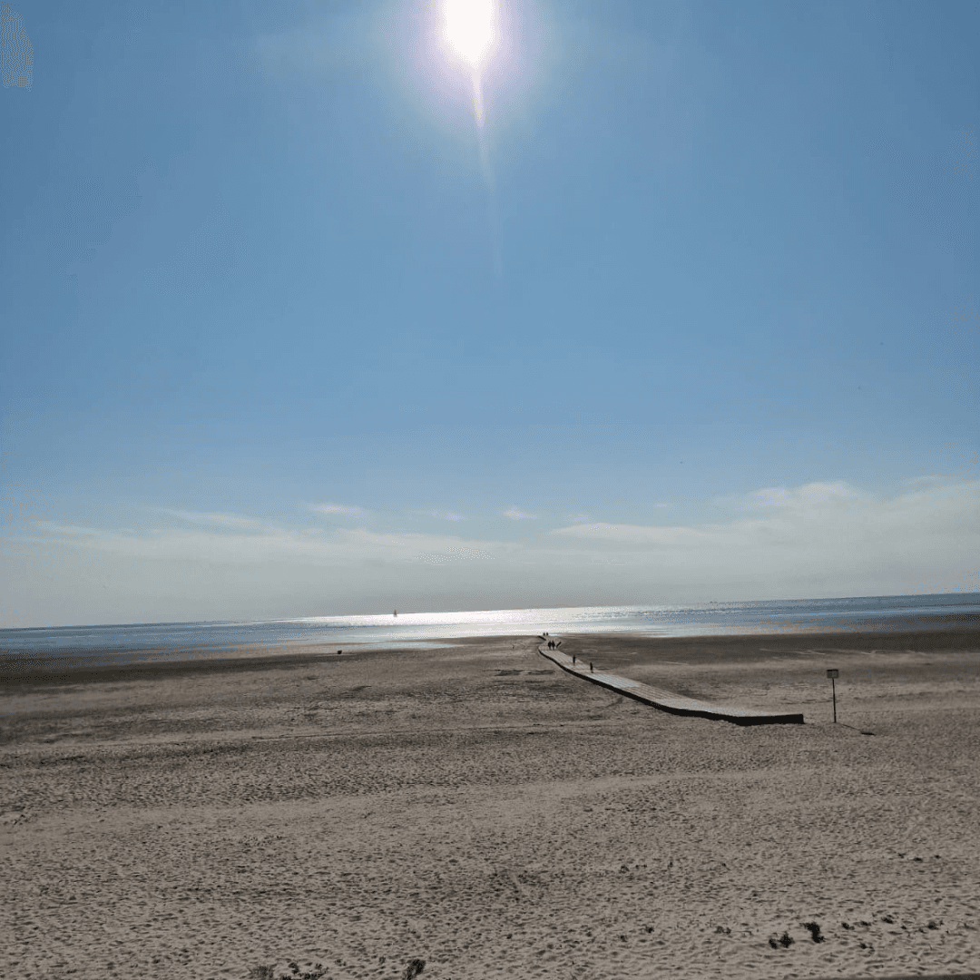 A scenery from Camping de Zeehoeve
