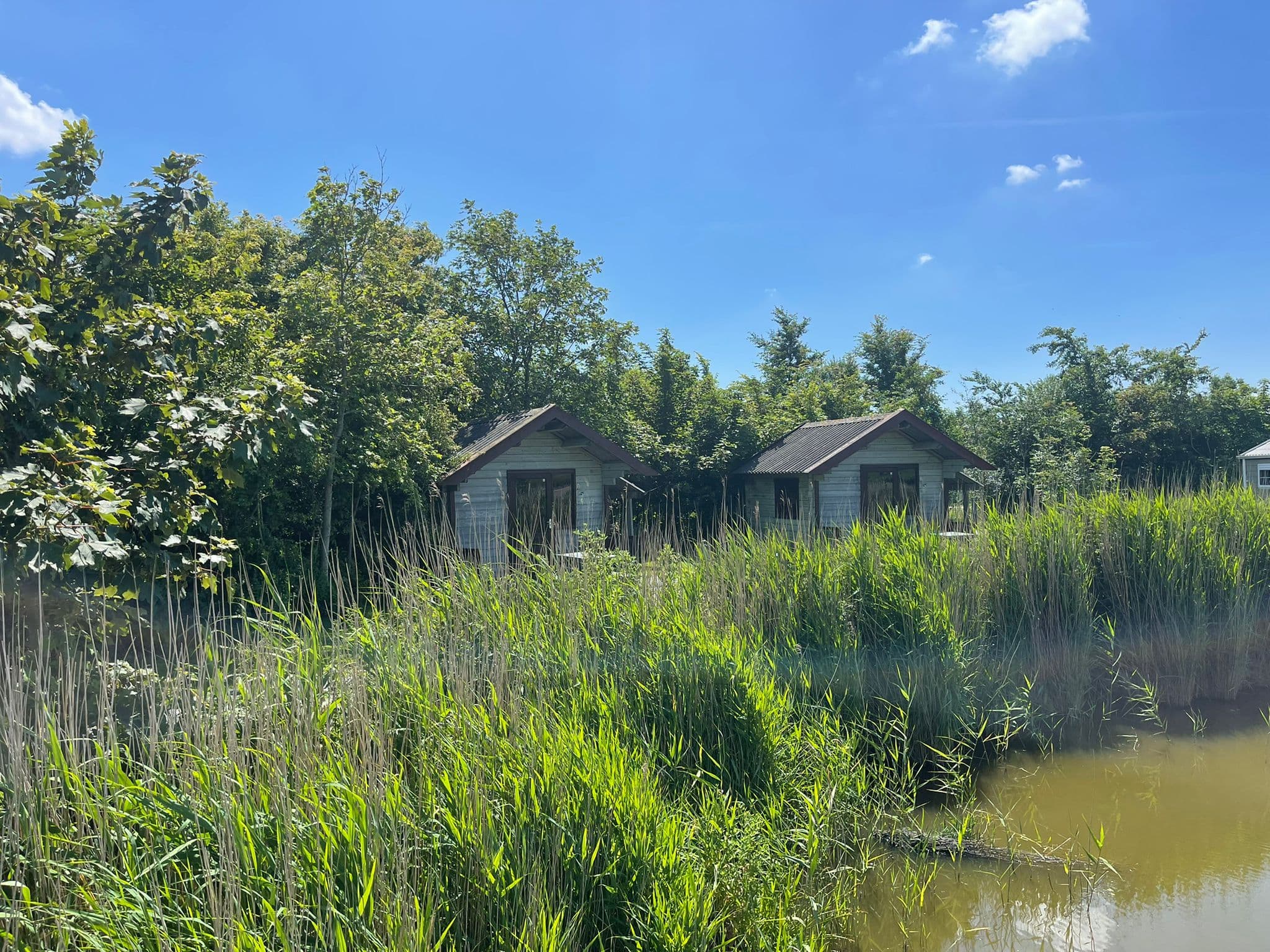 A scenery from Camping de Zeehoeve