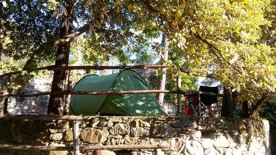 A scenery from Camping La Pineta