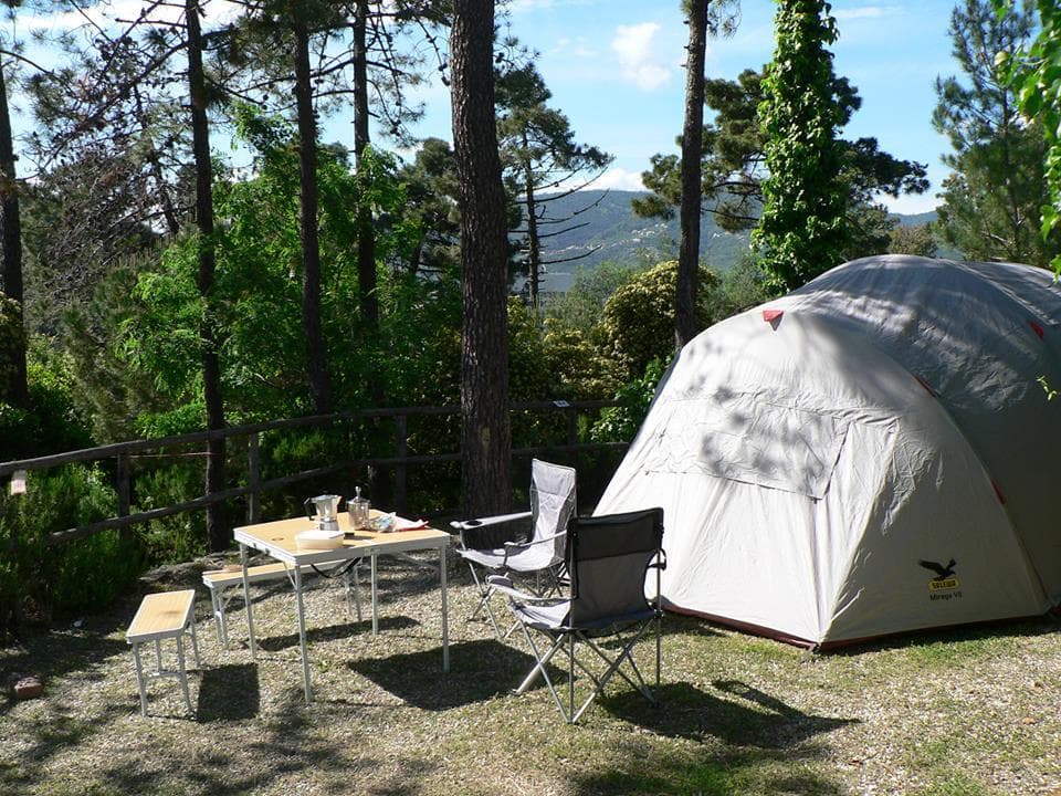 A scenery from Camping La Pineta