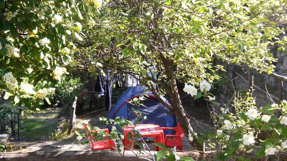 A scenery from Camping La Pineta