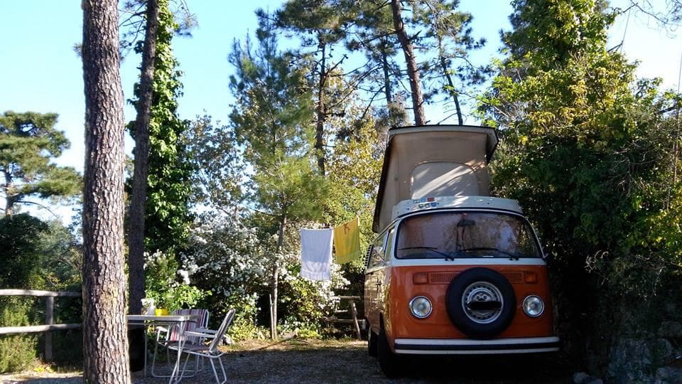 A scenery from Camping La Pineta