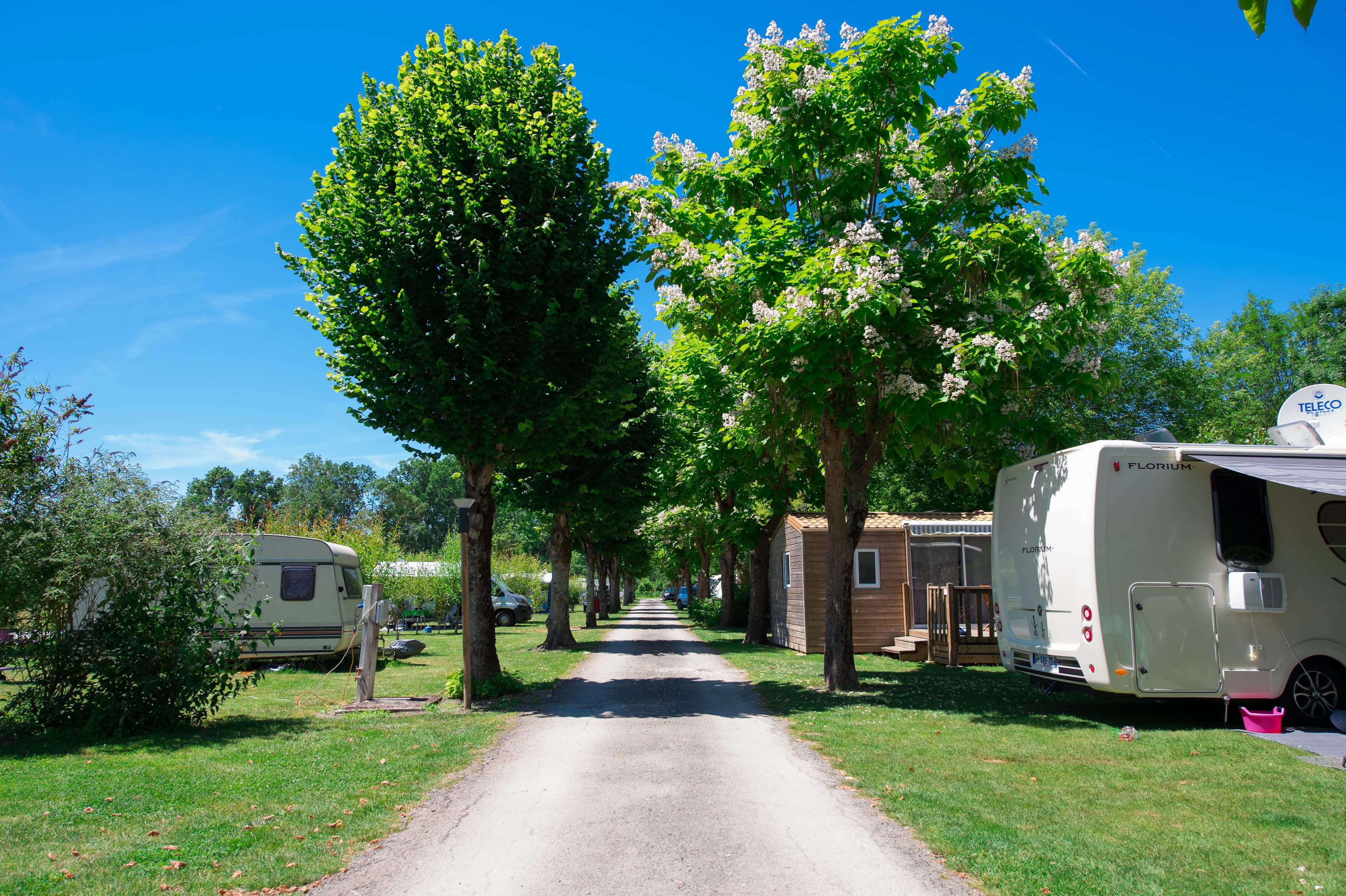 A scenery from Camping La Venise Verte