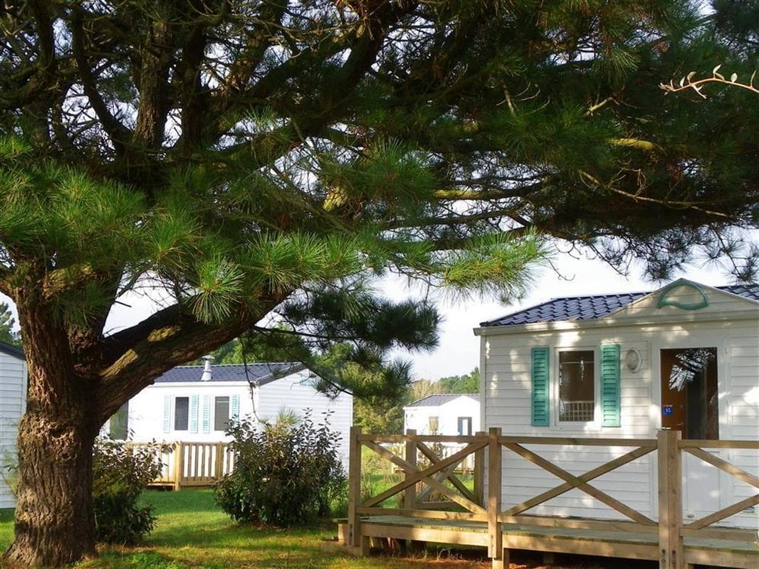 A scenery from TERRA LODGES RESORT 