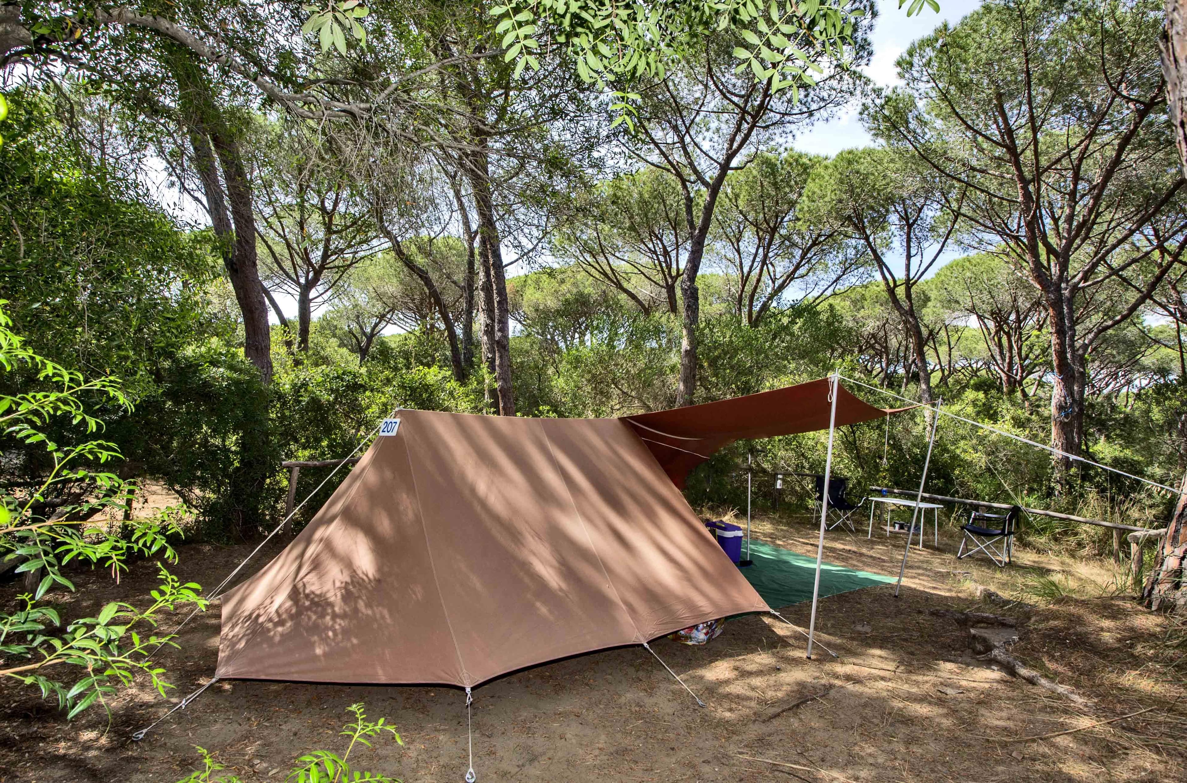 A scenery from Camping Maremma Sans Souci