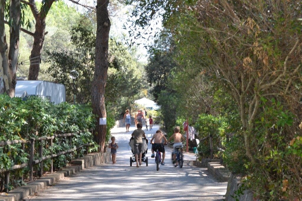A scenery from Camping Village Santapomata