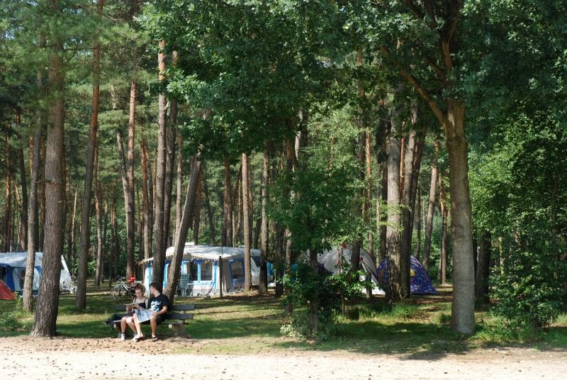 A scenery from De Lilse Bergen