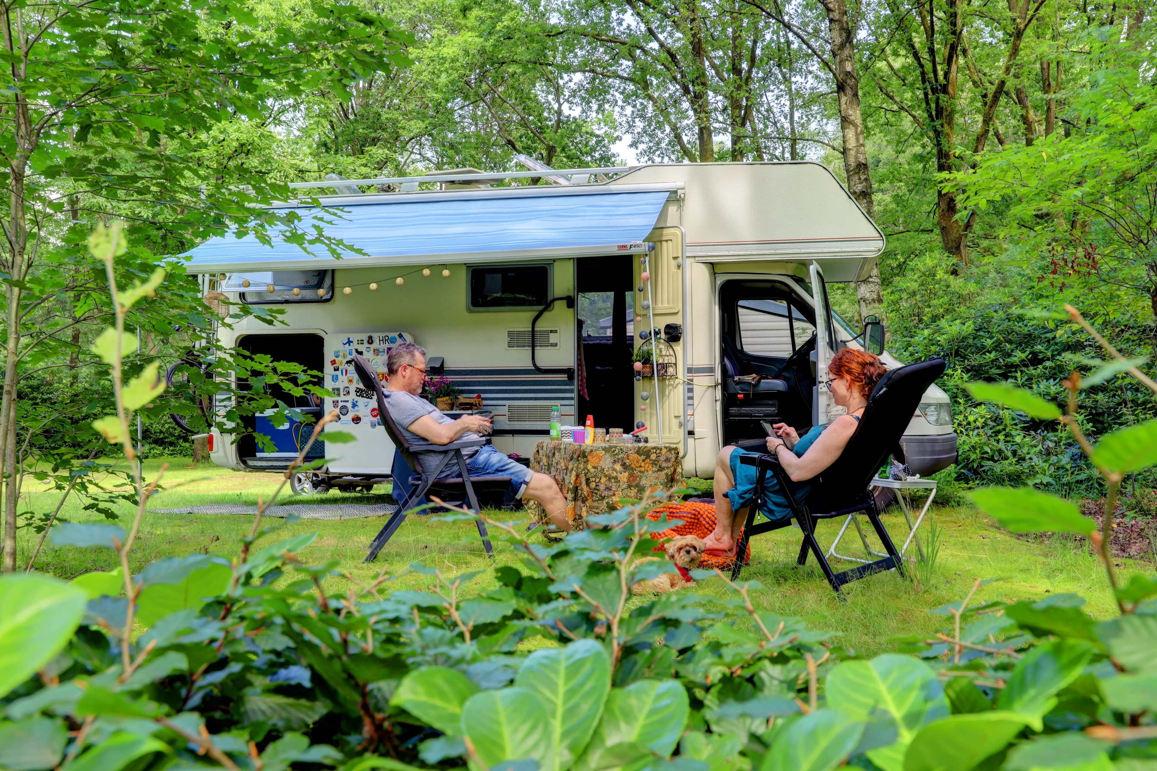 A scenery from Camping Floreal Het Veen