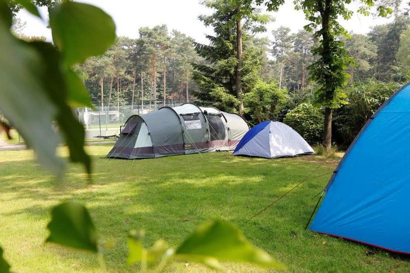 A scenery from Camping Floreal Kempen