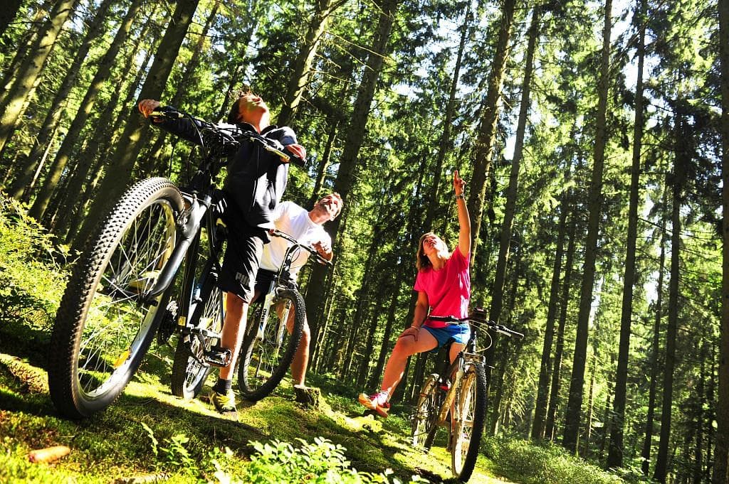 A scenery from Homair-Marvilla - Lac des Vieilles Forges