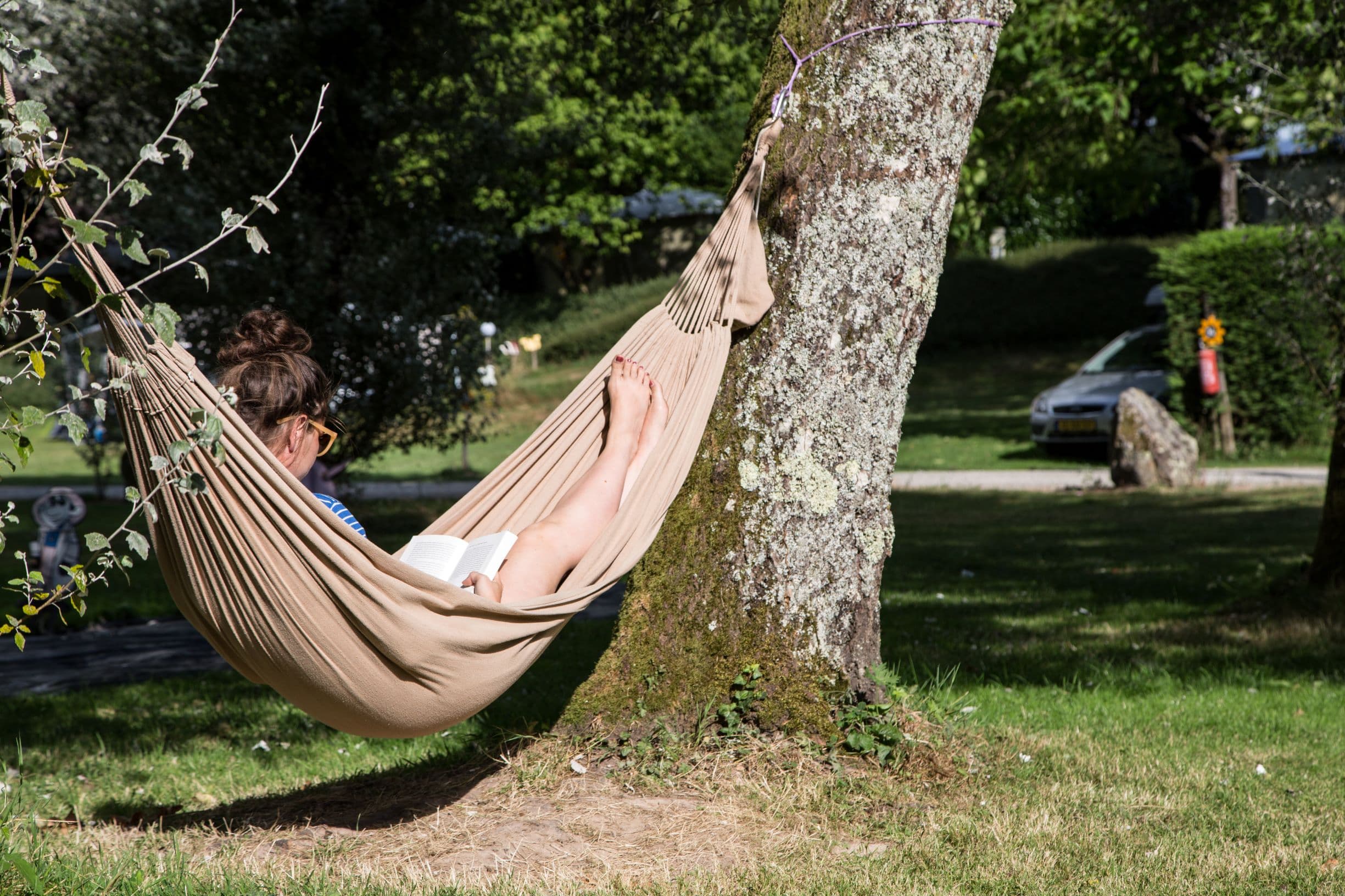 A scenery from Camping Les Tournesols