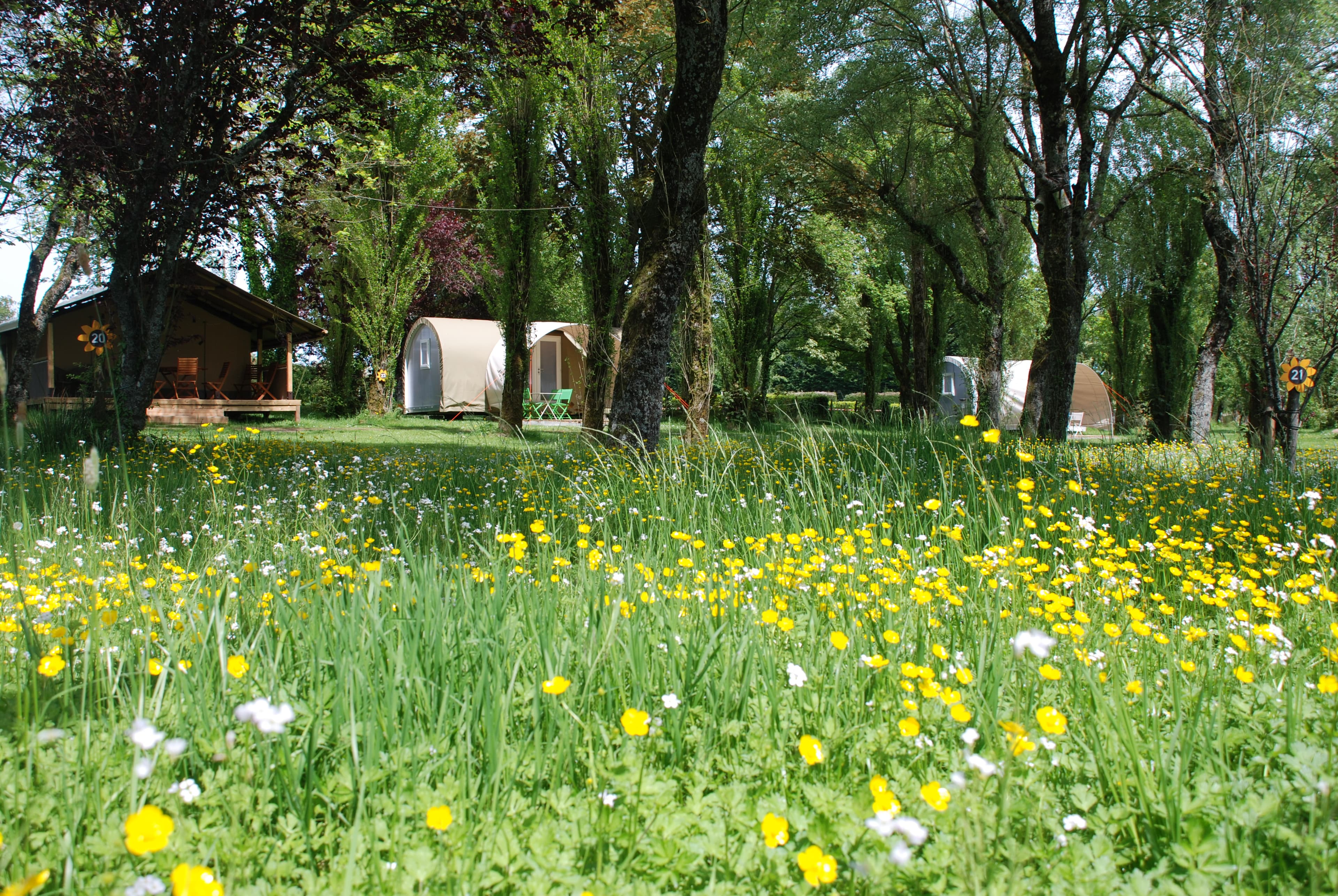 A scenery from Camping Les Tournesols