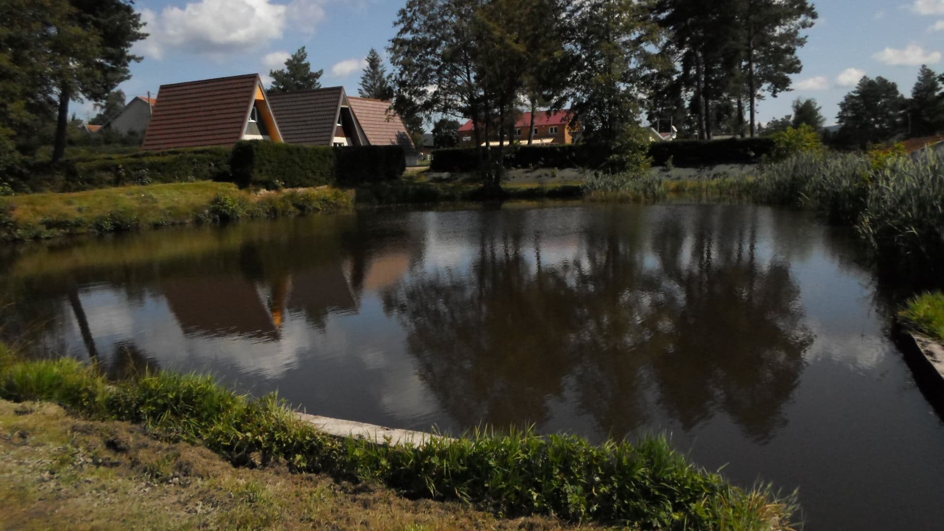 A scenery from Camping Les Pinasses