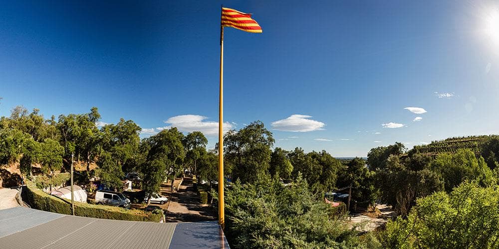 A scenery from Domaine des Mimosas