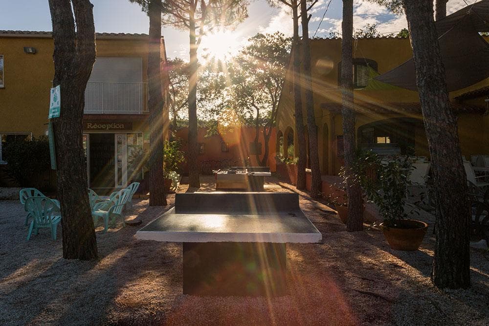 A scenery from Domaine des Mimosas