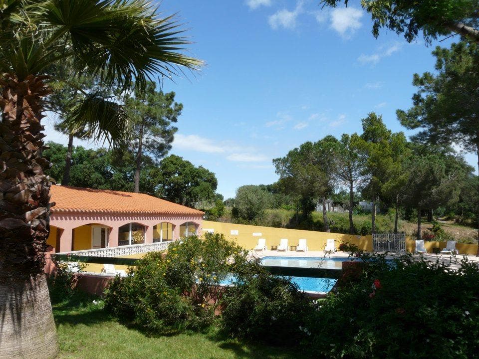 A scenery from Domaine des Mimosas