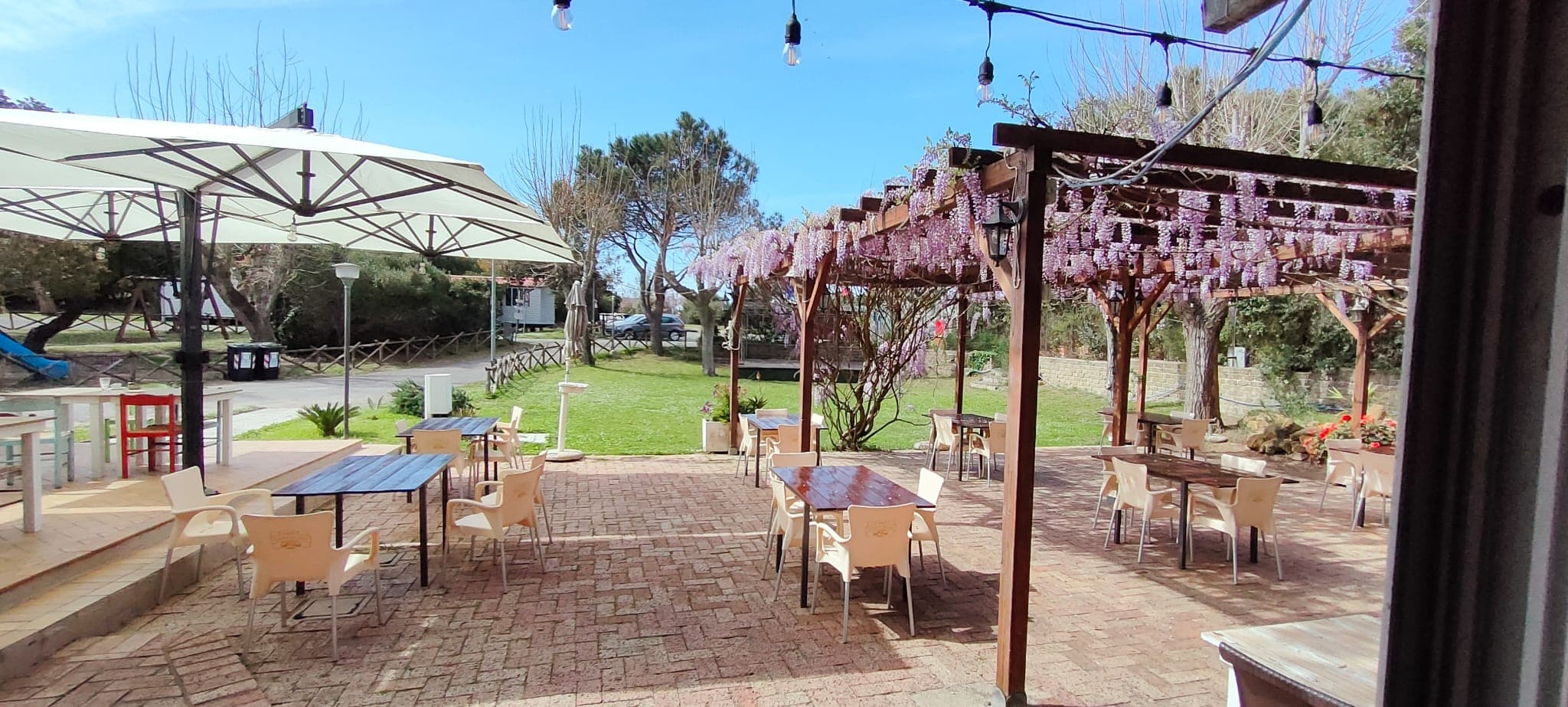 A scenery from Camping Internazionale Castelfusano
