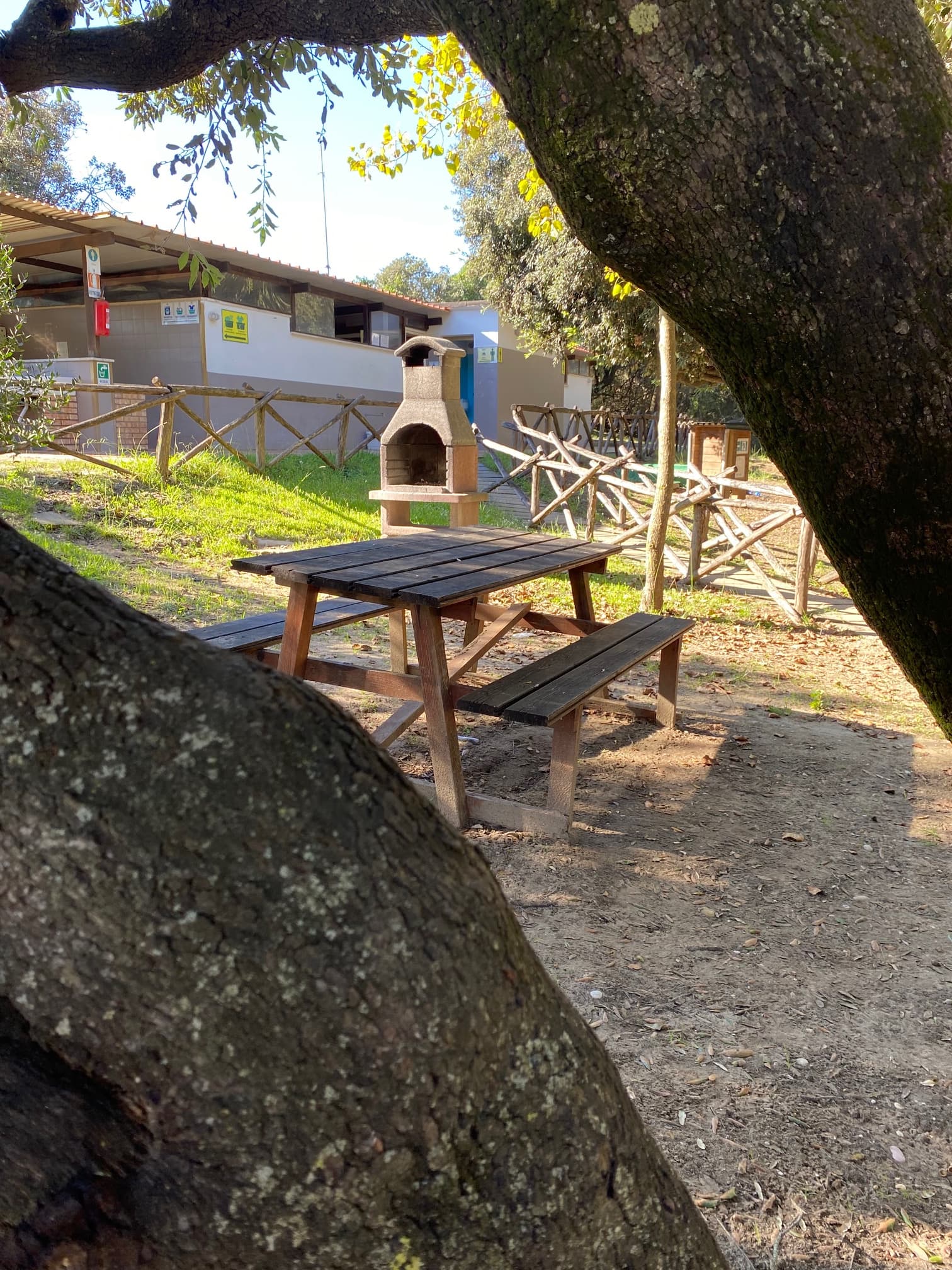 A scenery from Camping Internazionale Castelfusano
