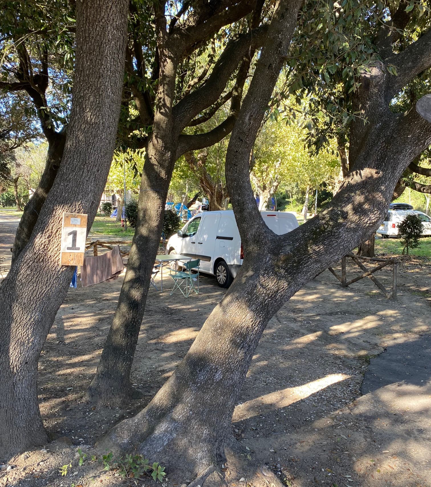 A scenery from Camping Internazionale Castelfusano