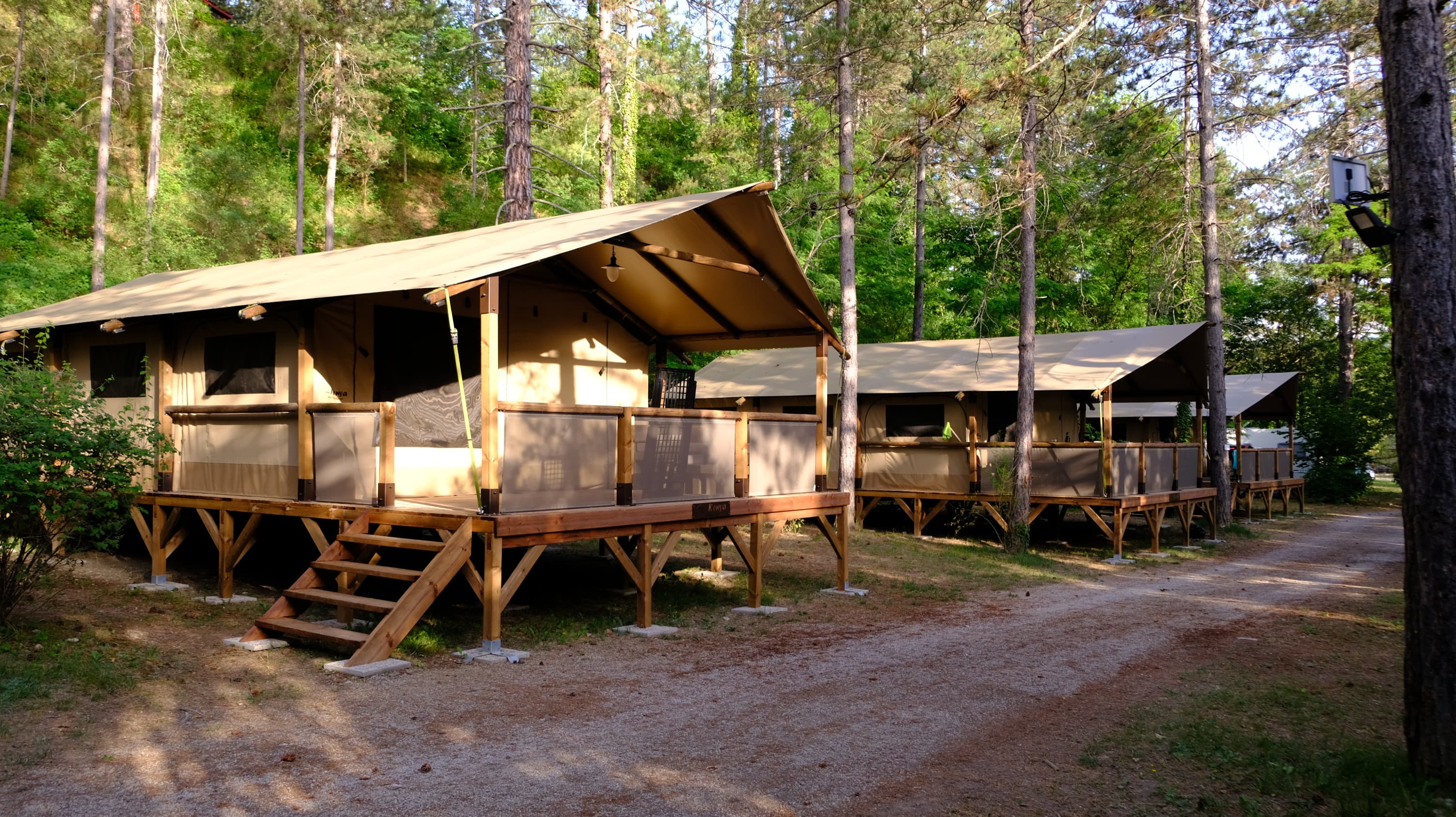 A scenery from Flower Camping la Pinède