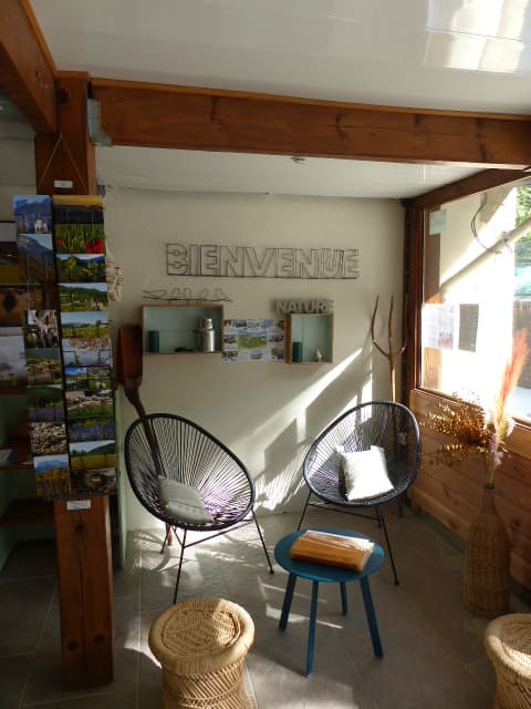 A scenery from Flower Camping la Pinède