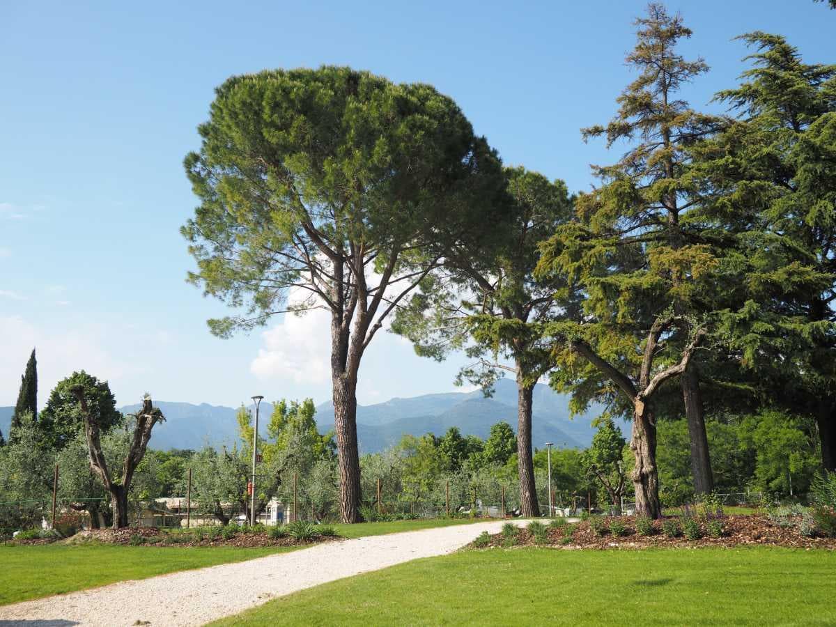 A scenery from Fornella Camping & Wellness Family Resort