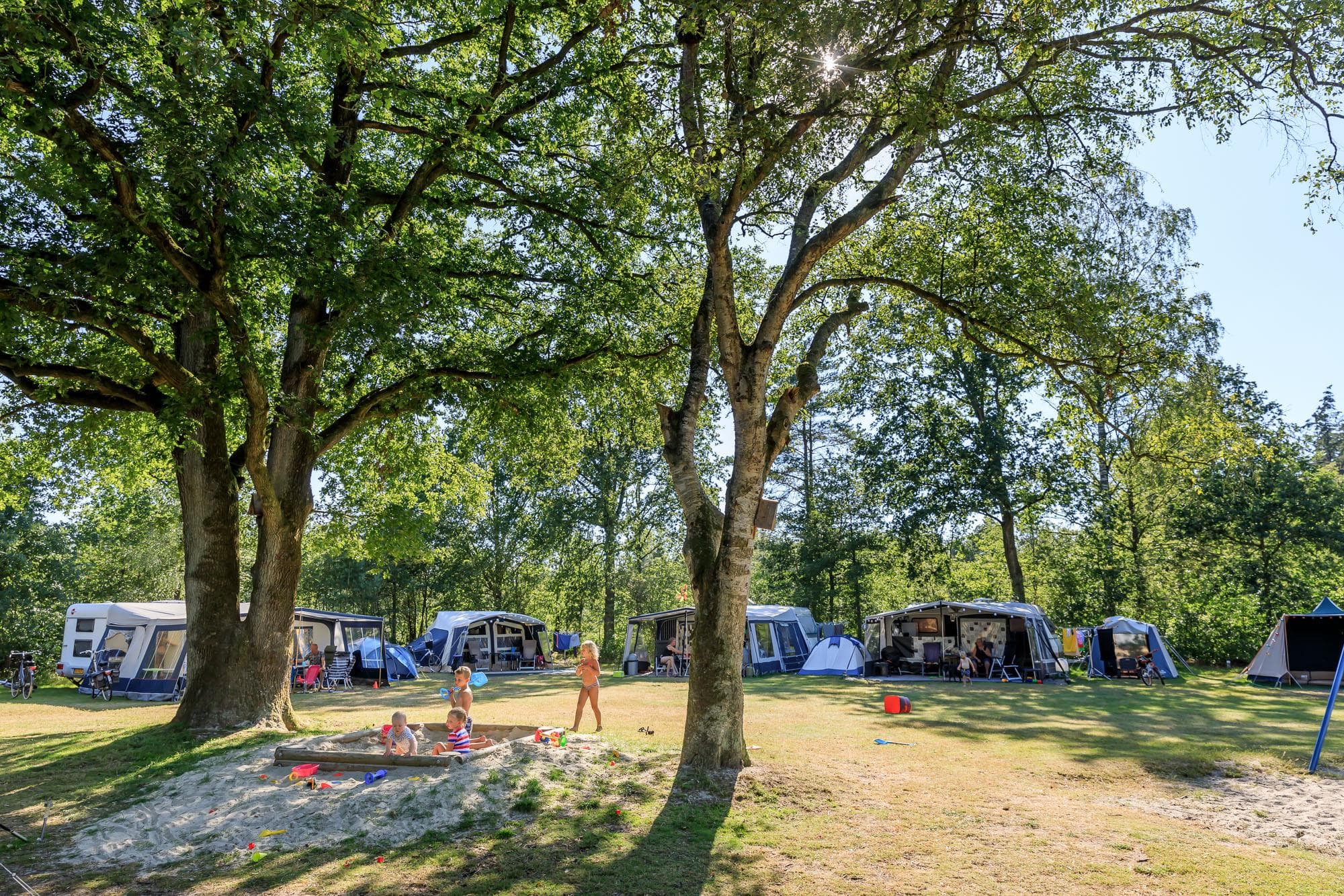 A scenery from RCN Vakantiepark de Roggeberg