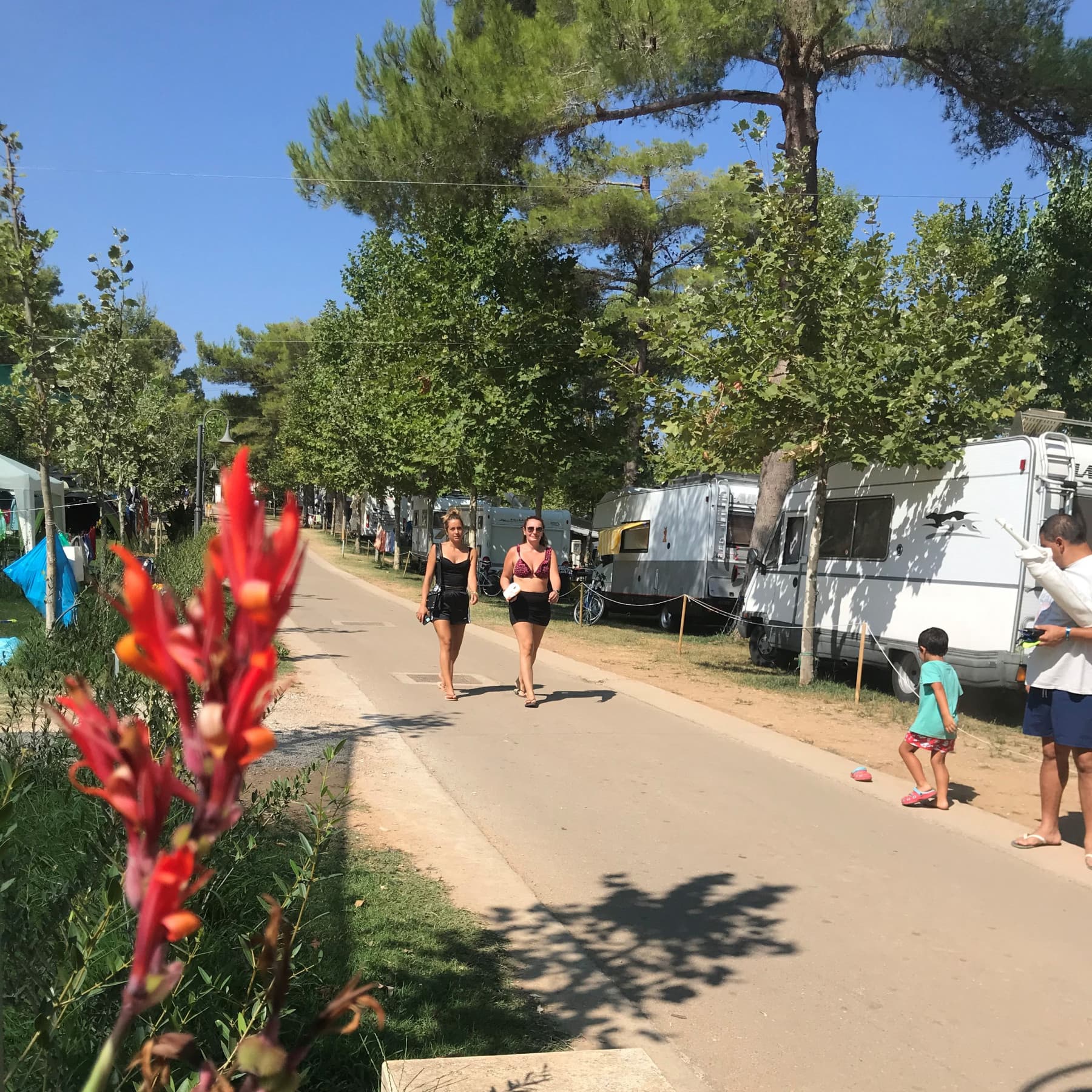 A scenery from Baia di Gallipoli Camping Village