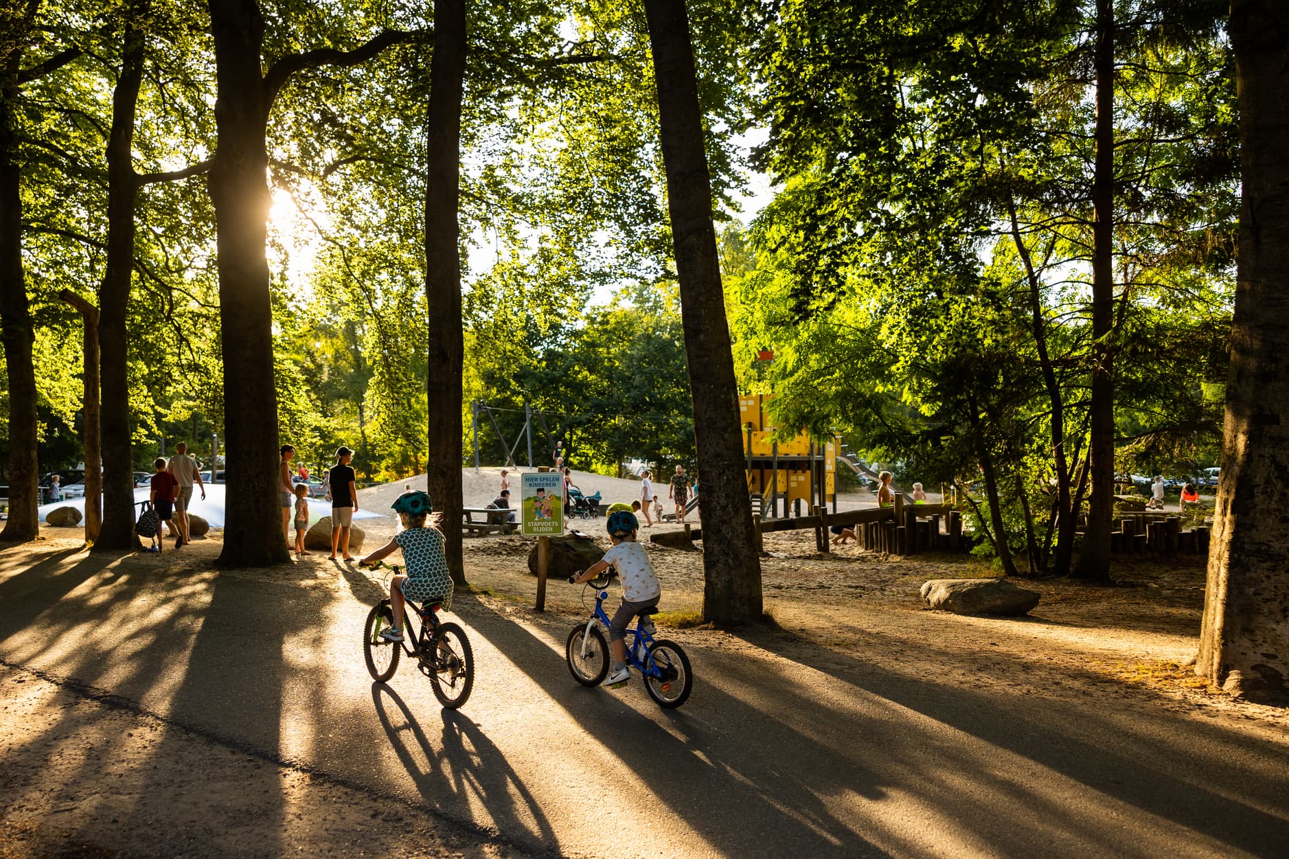 A scenery from RCN Vakantiepark het Grote Bos