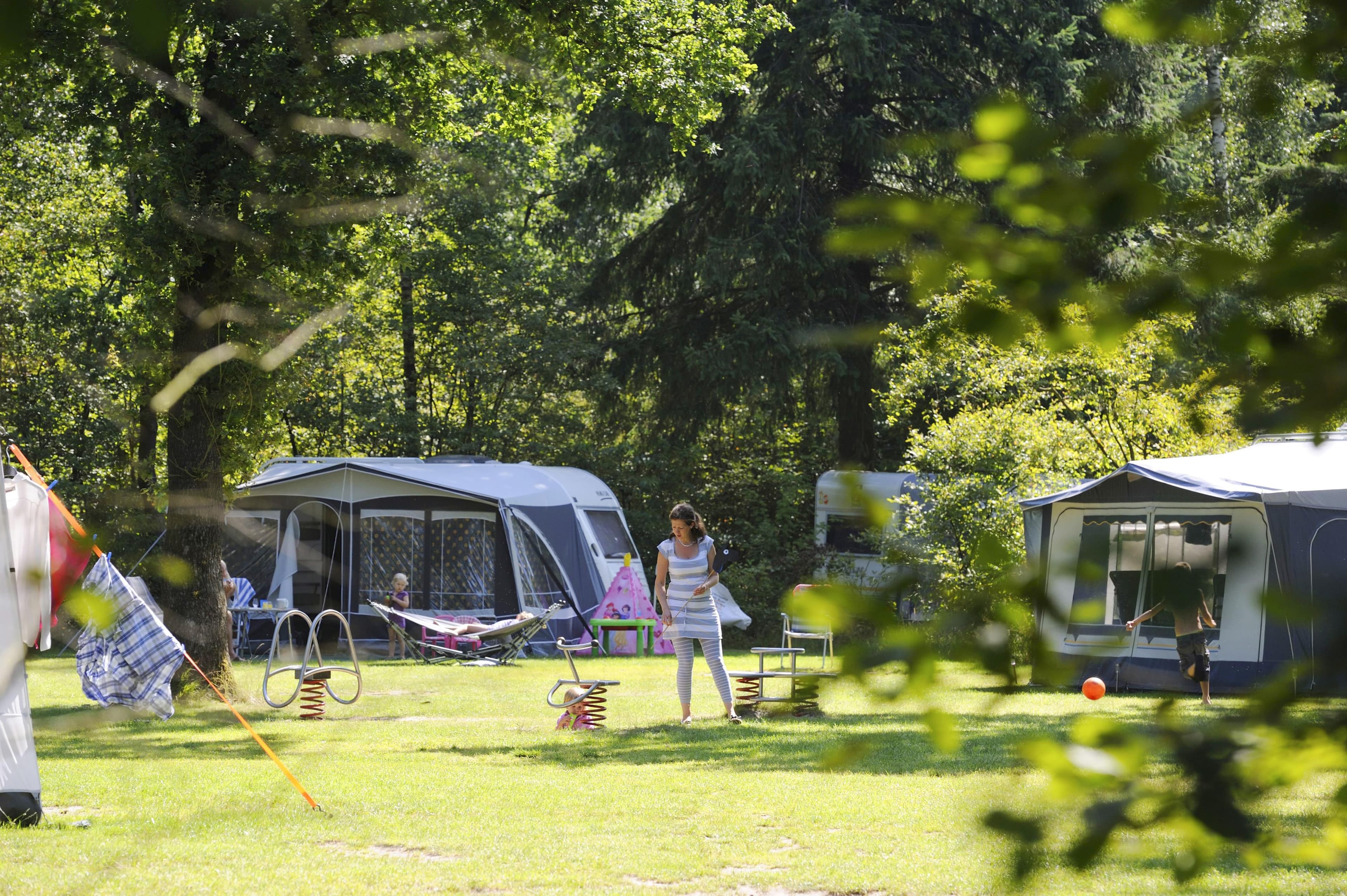 A scenery from RCN Vakantiepark de Noordster