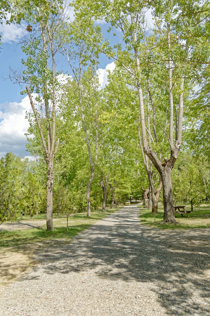 A scenery from Camping les Castors ***