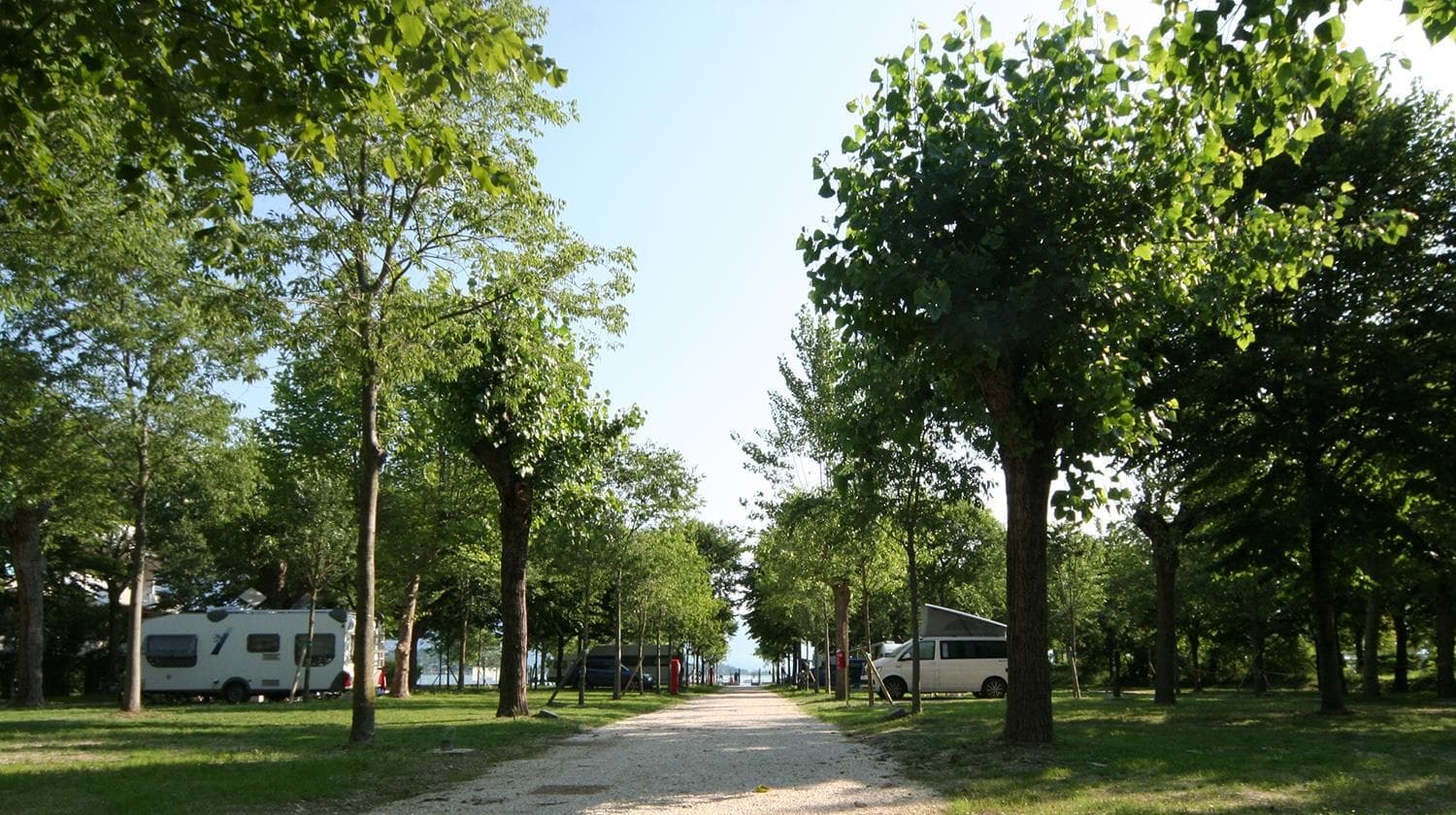 A scenery from Camping Baia Verde