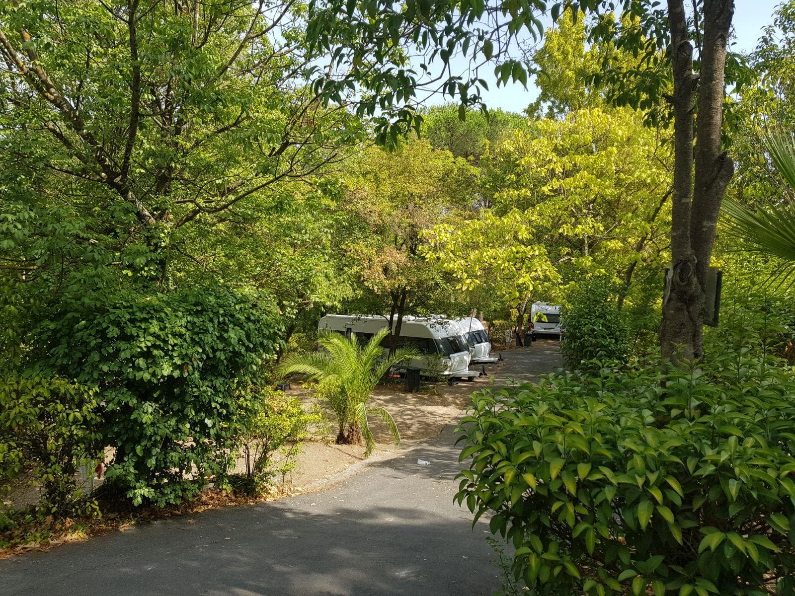 A scenery from Seven Hills Camping & Village