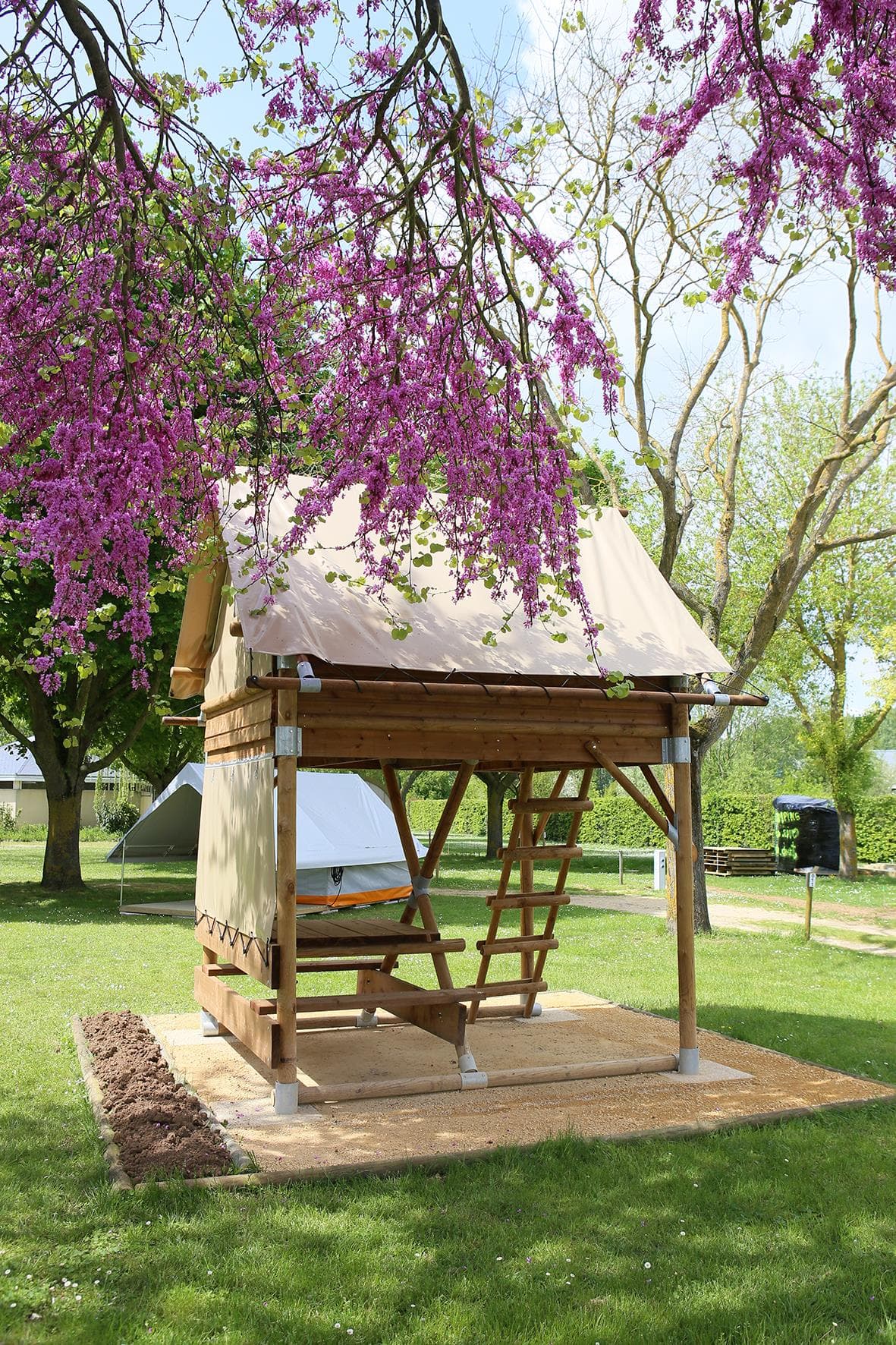 A scenery from Camping Les Rives du Douet