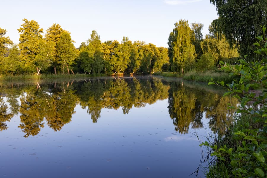 A scenery from Camping Ramstein-Plage
