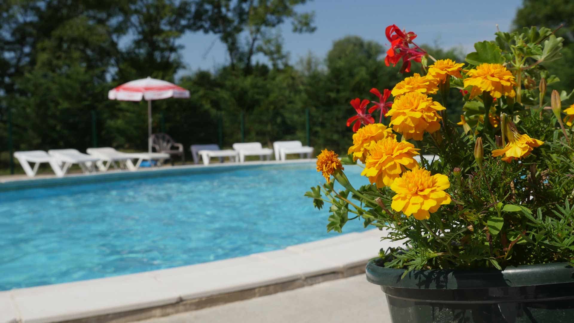 A scenery from Flower Camping Les 3 Ours