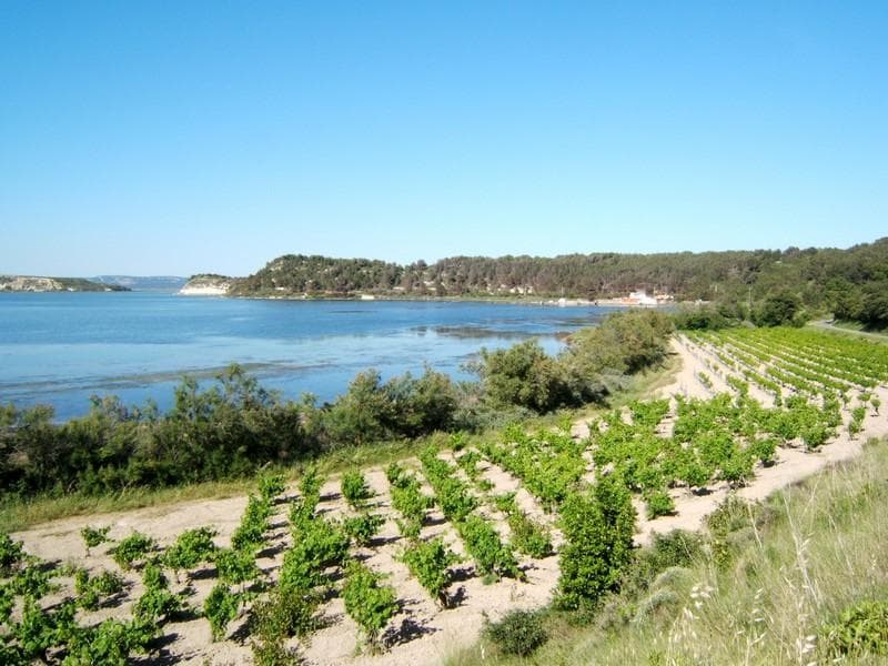 A scenery from Camping Tohapi - Ensoya
