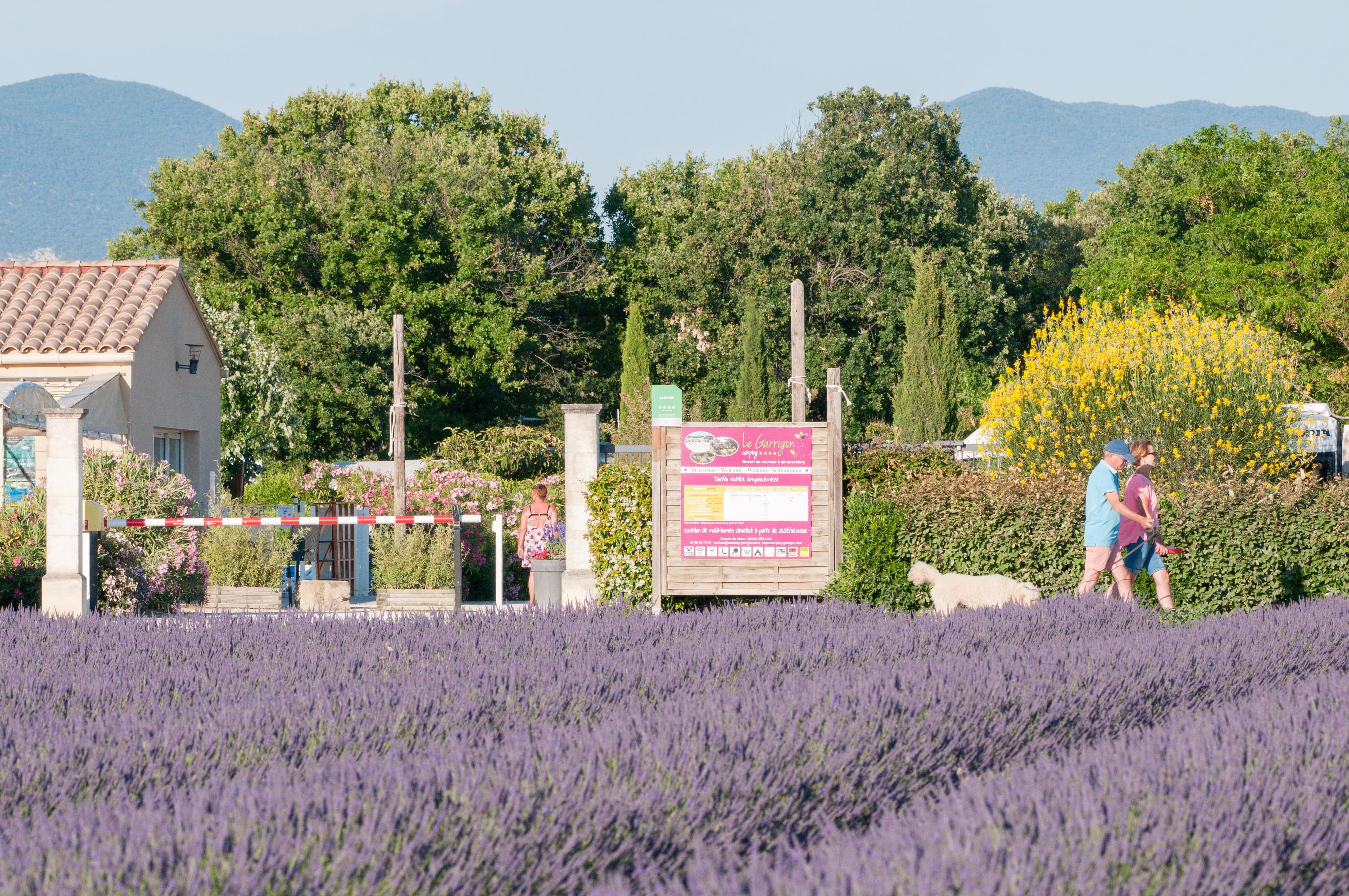 A scenery from Camping Le Garrigon